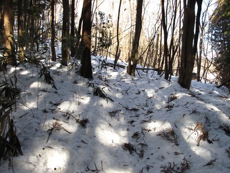 20180126hike (280)
